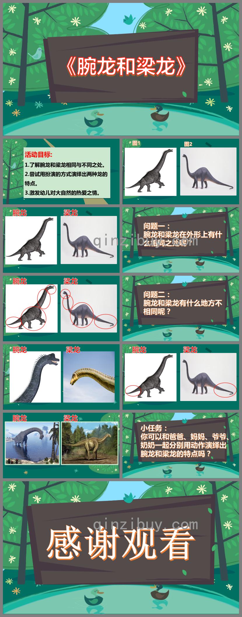 中班科学腕龙和梁龙PPT课件