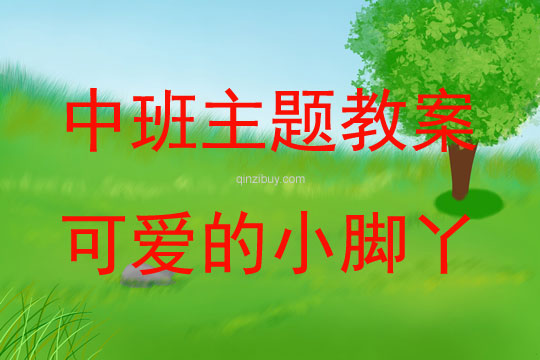 中班主题可爱的小脚丫教案反思