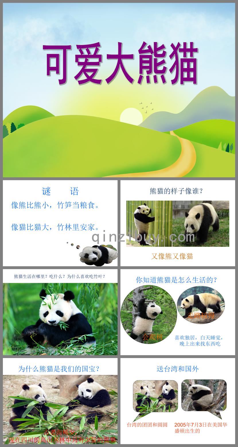 中班科学可爱的熊猫PPT课件