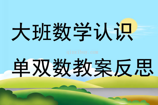 大班数学公开课认识单双数教案反思
