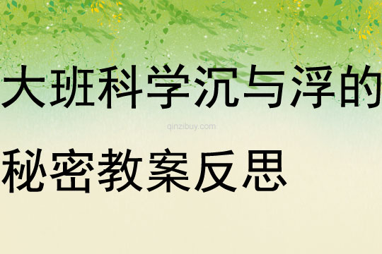 大班科学沉与浮的秘密教案反思