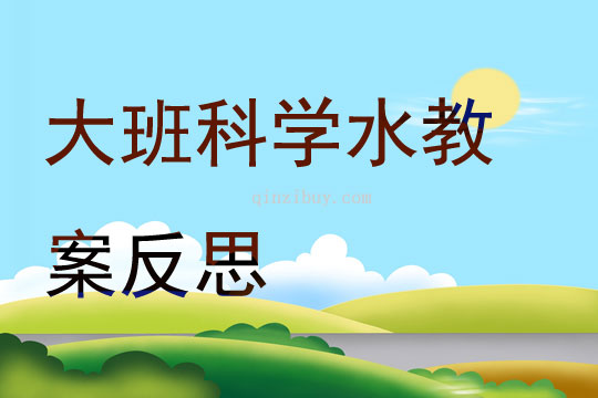 大班科学水教案反思