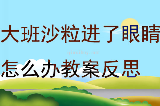 大班健康沙粒进了眼睛怎么办教案反思