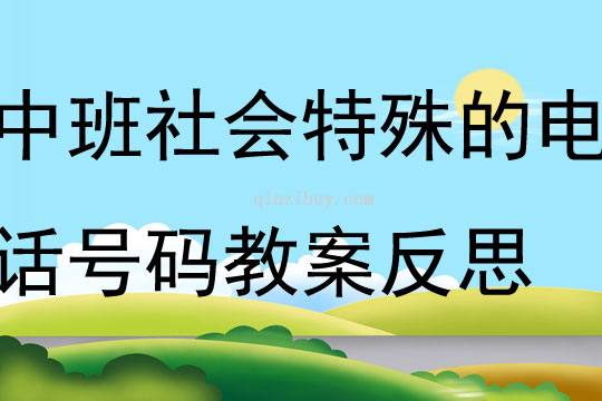 中班社会公开课特殊的电话号码教案反思