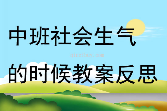 中班上册社会生气的时候教案反思
