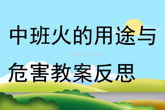 中班社会活动火的用途与危害教案反思