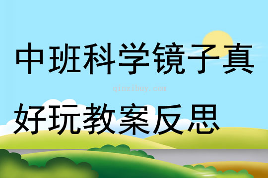 中班科学镜子真好玩教案反思