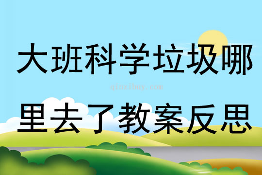 大班科学活动垃圾哪里去了教案反思