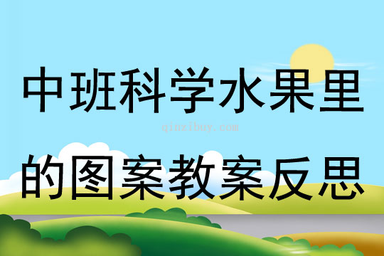 中班科学公开课水果里的图案教案反思