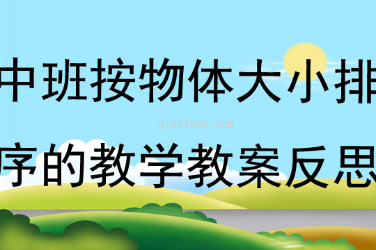 中班主题按物体大小排序的教学教案反思