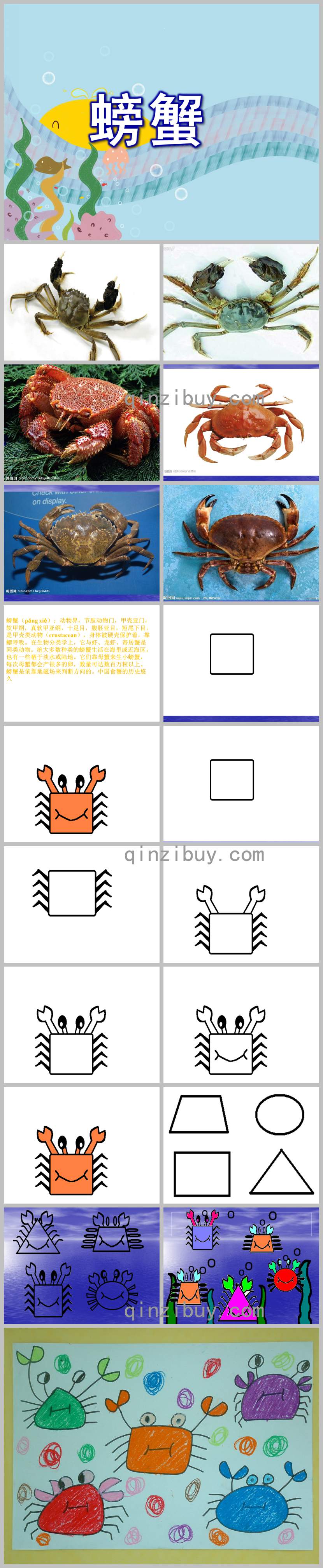 中班美术手印画课件螃蟹PPT课件教案