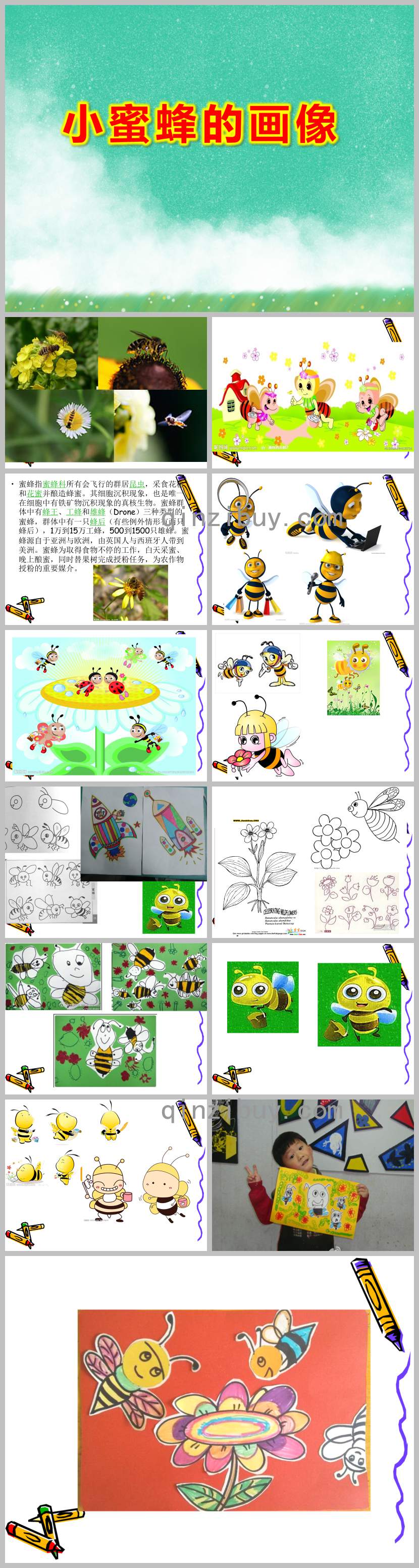 大班美术课件小蜜蜂的画像PPT课件教案