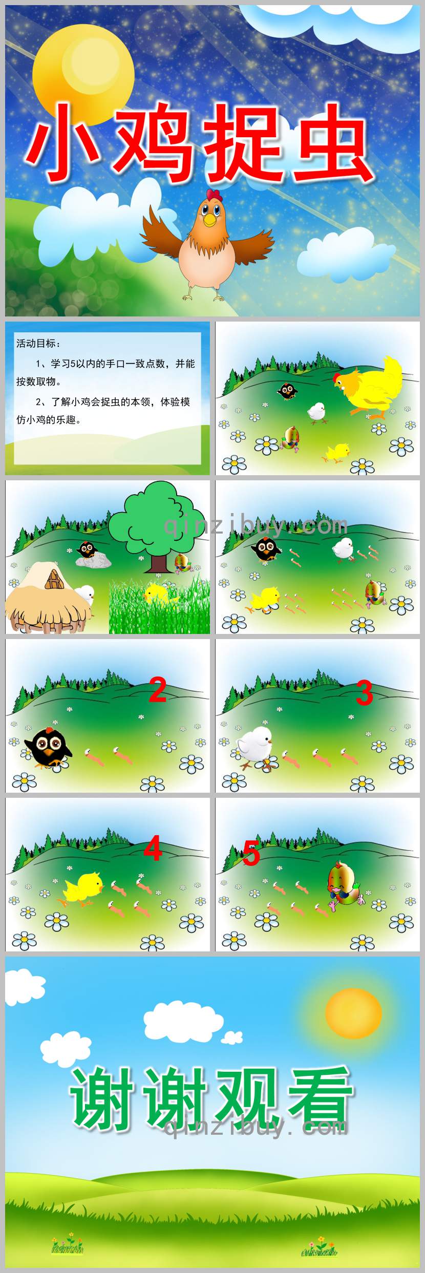 小鸡捉虫PPT课件教案图片
