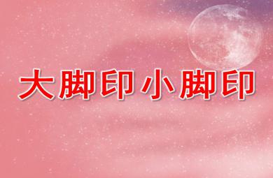 大脚印小脚印PPT课件教案图片