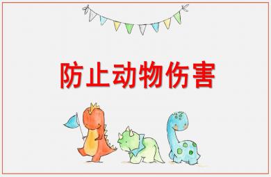 幼儿园防止动物伤害教育PPT课件