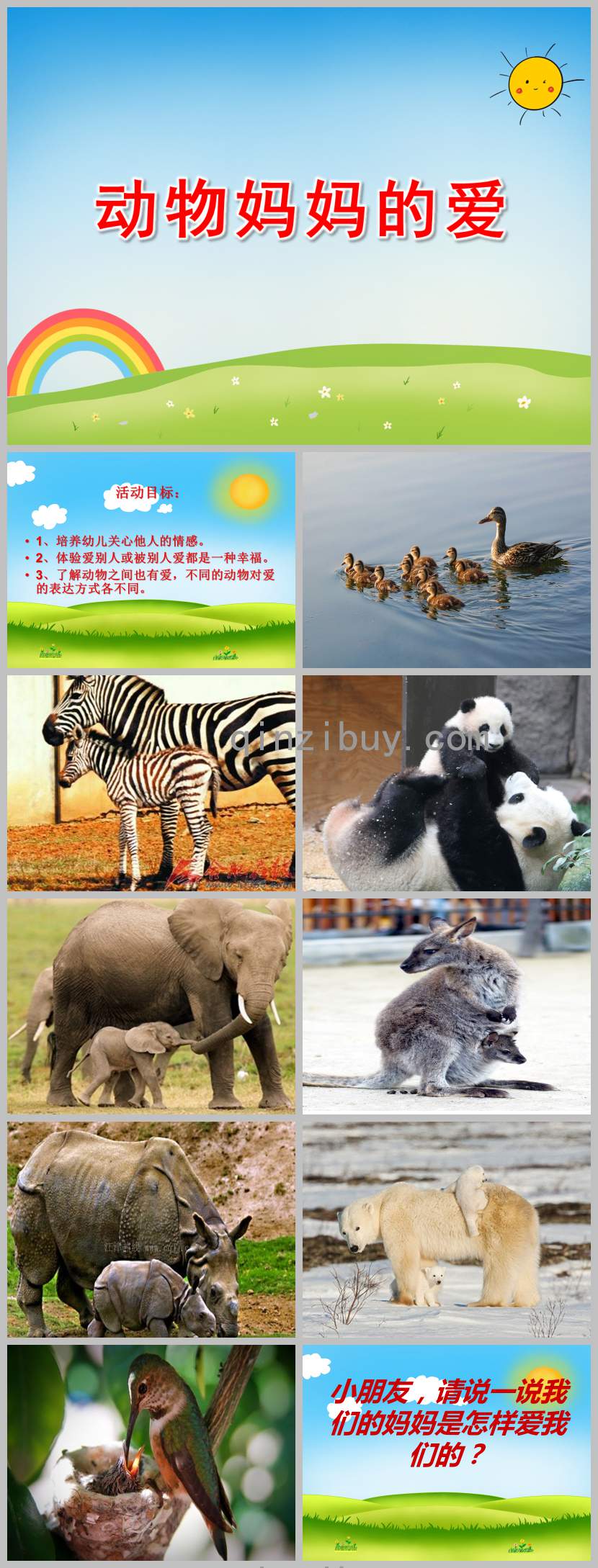 动物妈妈的爱PPT课件教案图片