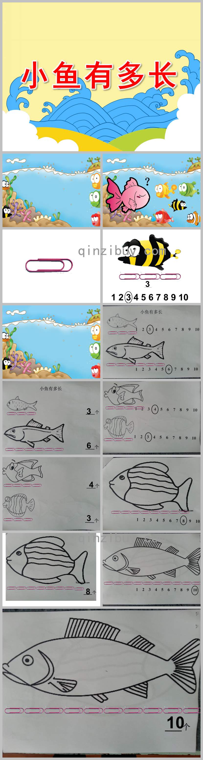 小鱼有多长PPT课件教案图片
