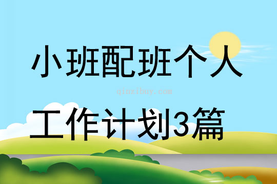 小班配班个人工作计划3篇