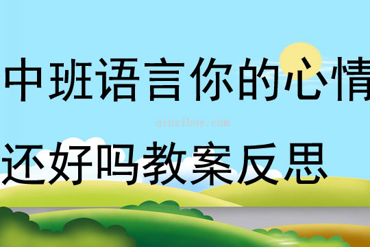 中班语言你的心情还好吗教案反思