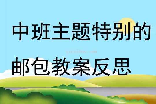 中班主题特别的邮包教案反思