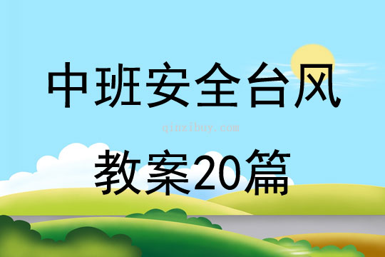 中班安全台风教案20篇