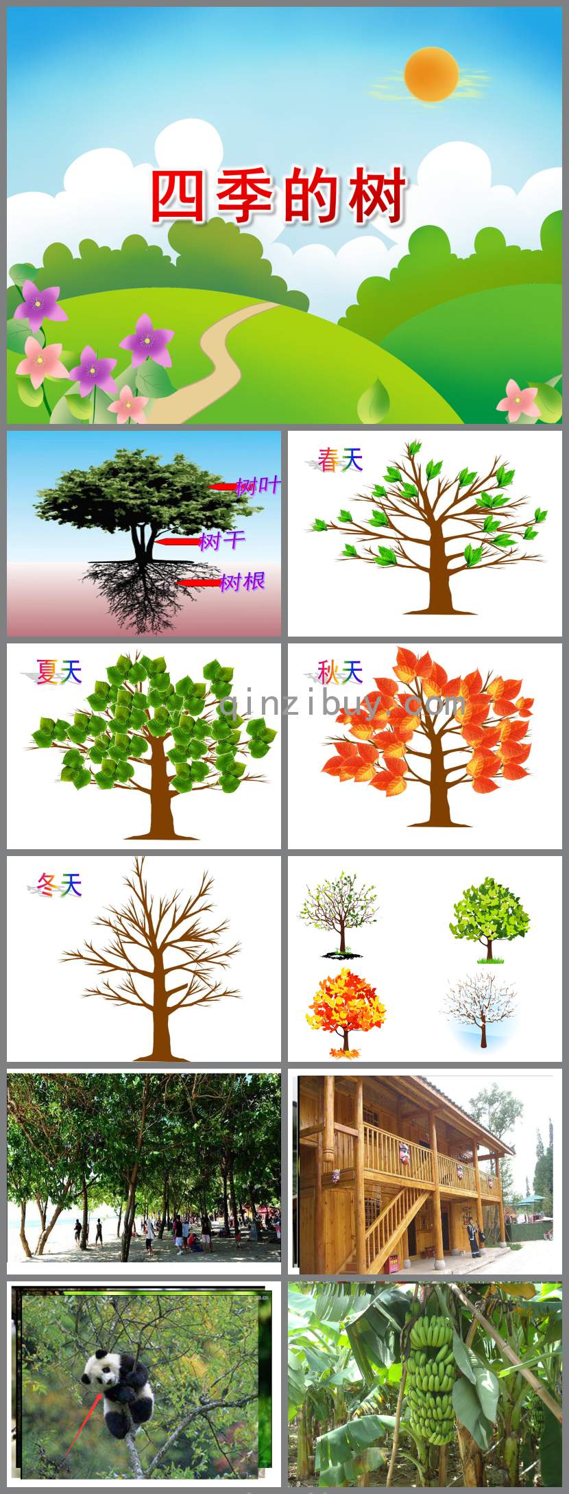 四季的树PPT课件教案图片
