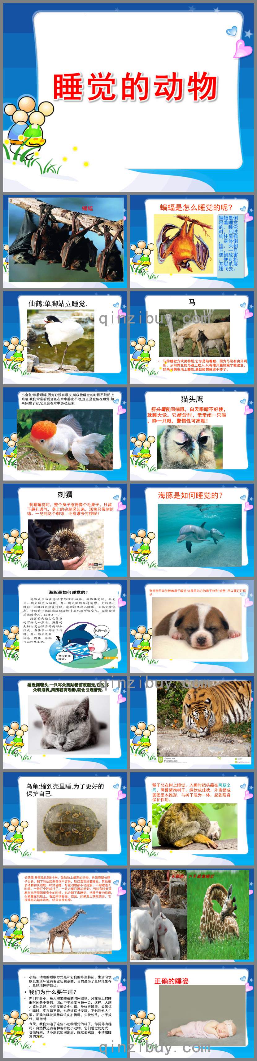 睡觉的动物PPT课件教案图片