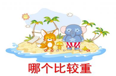 哪个比较重PPT课件教案图片