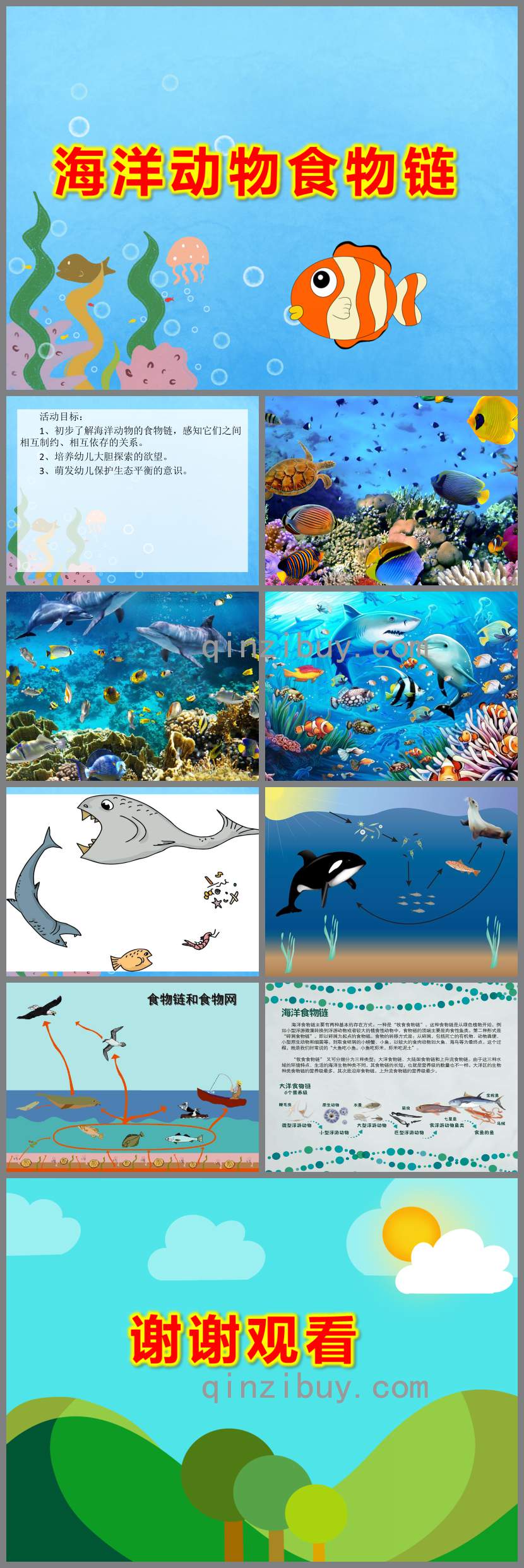 大班科学课件海洋动物食物链PPT课件教案