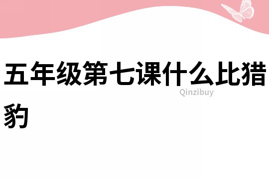 五年级第七课什么比猎豹