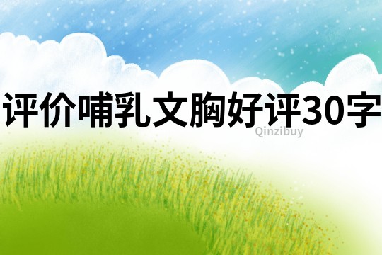 评价哺乳文胸好评30字