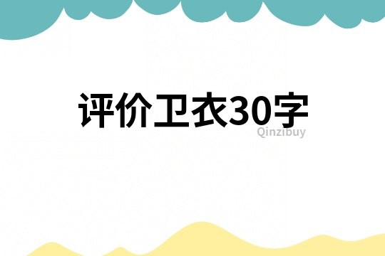 评价卫衣30字