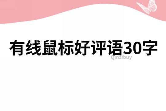 有线鼠标好评语30字