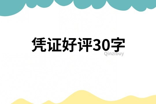 凭证好评30字