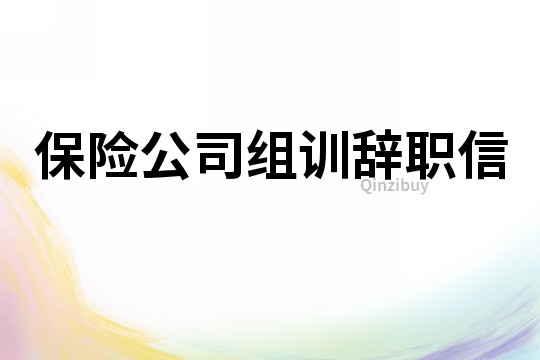 保险公司组训辞职信