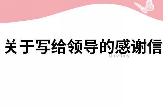 关于写给领导的感谢信