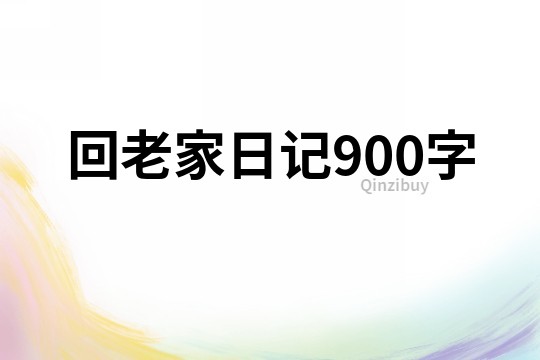 回老家日记900字