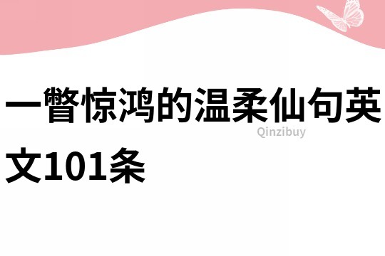 一瞥惊鸿的温柔仙句英文101条