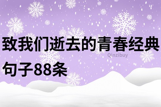 致我们逝去的青春经典句子88条