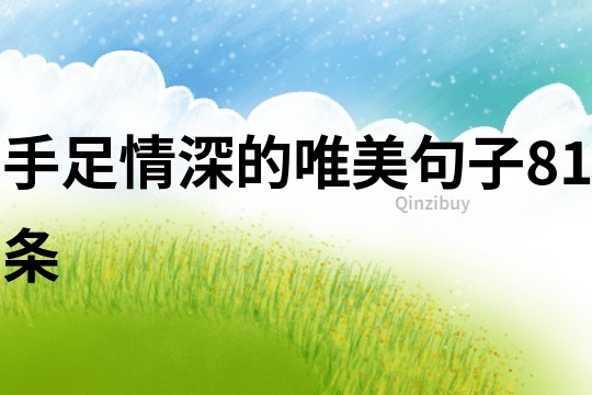 手足情深的唯美句子81条