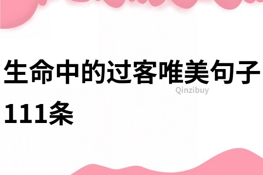 生命中的过客唯美句子111条