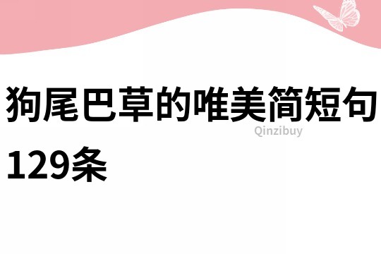 狗尾巴草的唯美简短句129条