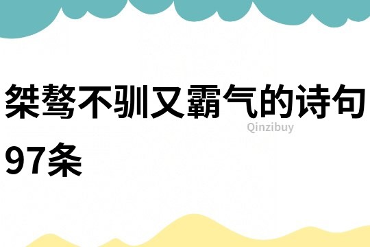 桀骜不驯又霸气的诗句97条
