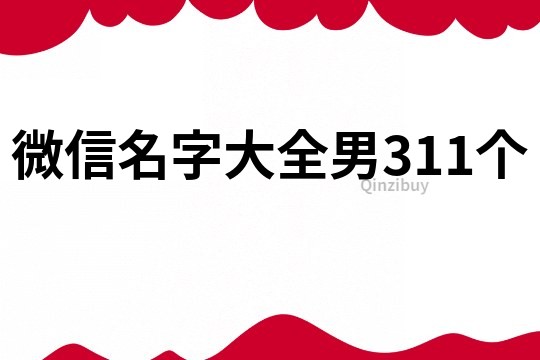 微信名字大全男311个