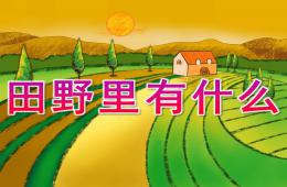 中班社会田野里有什么PPT课件