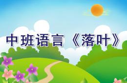 中班语言落叶PPT课件