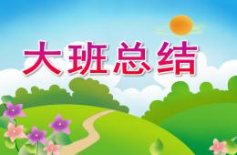 大班总结PPT课件