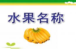 小班英语水果名称PPT课件