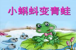 幼儿园科学小蝌蚪变青蛙PPT课件