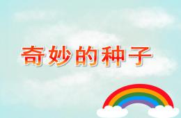 大班科学活动奇妙的种子PPT课件
